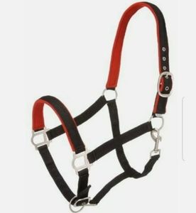 Tough 1 #50-2022 Yearling Halter